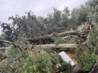 Ανεμοστρόβιλος «χτύπησε» το Μεσολόγγι: Κ...