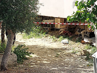 Ζάκυνθος: ΣΟΚ στο νησί από τον θάνατο το...