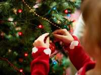 Συλλογή τροφίμων από τον Προμηθέα στο «Τ...