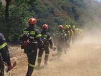 Άφαντος ο 59χρονος που χάθηκε ενώ μάζευε...