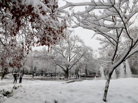 Δυτ. Ελλάδα: Ποιοι δρόμοι είναι κλειστοί...