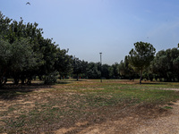 Βρέθηκε ο ακριβής χώρος ταφής του Πλάτων...