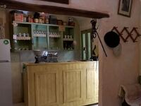 Το καφενείο στη Χίο που λειτουργεί χωρίς...