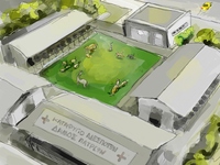 Προτάσεις του σπιράλ για τα αδέσποτα και...