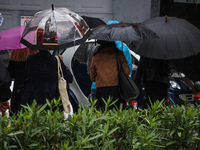 Οι τρεις φάσεις της κακοκαιρίας "Γη...