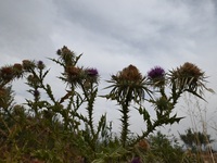 Καιρός: Επιμένει η αφρικανική σκόνη πάνω...