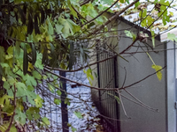 Σέρρες: «Ο Βασίλης δεν ήθελε να πάει σχο...