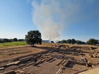  Ηλεία: Βελτιωμένη η φωτιά στην Αμαλιάδα...