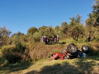 Πάτρα- Σοκ: O Νίκος Τρίγκας της γνωστής ...