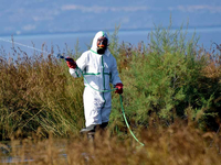 Ιός του Δυτικού Νείλου: Ο Δήμος Πύργου σ...