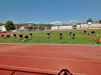 Αναμενόμενος αποκλεισμός για τον Παναιγι...