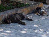 Χρ. Μπούρας στο thebest: Διαψεύδω θεσμικ...