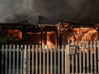 Στάχτη περισσότερα από 20.000 στρέμματα ...
