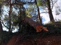 Στο πόδι στο Γηροκομειό μετά τον «ακρωτη...