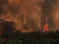 Δήμαρχος Αχαρνών για Βαρυμπόμπη – Να φύγ...
