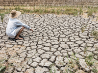 ΟΗΕ: Ο πλανήτης κινδυνεύει με «παγκόσμια...