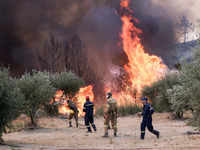 Δήμαρχος Αρχαίας Ολυμπίας: Έκκληση για ε...