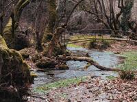 Το χωριό της Αχαΐας με το παραμυθένιο σκ...