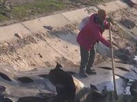 Από τι έπεσε το αεροπλάνο στο Ιράν;BINTEO