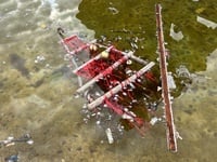 Πάτρα: Χριστουγεννιάτικο δέντρο μέσα στο...