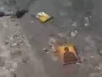 Περίεργο θέαμα στην Εύβοια: Η παραλία γέ...