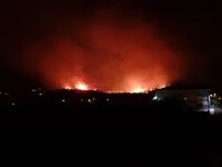 ΠΑΤΡΑ Φωτιά - Συχαινά - Δραματική έκκλησ...