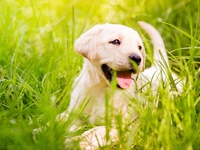 Δήμος Αιγιαλείας: Άναψε φωτιές η ατάκα &...