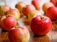 Μήλο: Το φυσικό «φάρμακο» του φθινοπώρου 