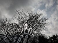 Καιρός - Σάκης Αρναούτογλου: Εντυπωσιακή...