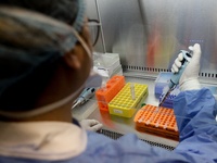 Κορωνοϊός: 1.292 κρούσματα σε 10 μέρες- ...