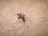 Πώς θα προστατευτούμε από κορωνοϊό, ιλαρ...