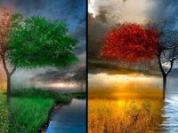 Μερομήνια: Τι καιρό θα κάνει τον φετινό χειμώνα