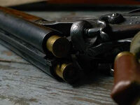 Πάτρα: Άνδρας αυτοκτόνησε με καραμπίνα- ...