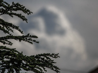 Καιρός σήμερα: Λιακάδα μέχρι το μεσημέρι...