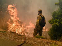 Ηλεία: Στο νοσοκομείο Πύργου μεταφέρθηκε...