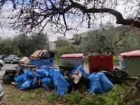 Τι μπορεί να βρει κανείς στις όχθες ενός...