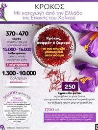 Κρόκος: Με καταγωγή από την Ελλάδα της Ε...