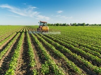 Δυτική Αχαΐα: Ο πόλεμος της Ουκρανίας βά...