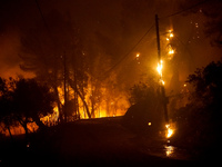 Φωτιά-Ηλεία: Ισχυρό μέτωπο καίει στη Μου...