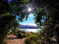 Ο καιρός έως τις 9 Αυγούστου – Πού θα φτ...