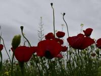 Με τι καιρό θα κάνουμε Πάσχα στην Πάτρα...