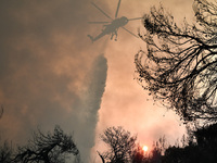 EKTAKTO: Δύο προσαγωγές υπόπτων σε Κρυον...