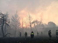 Οι φετινές καμένες εκτάσεις στην Ελλάδα ...