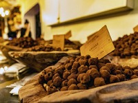 Τρούφα στην Ελλάδα: Πού βρίσκεται, πόσο ...