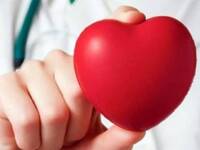 Πάτρα: «Το Λιμάνι Δίνει Ζωή»- Εθελοντική...