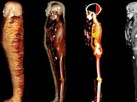 Επιστήμονες «ξετύλιξαν» ψηφιακά μια μούμ...