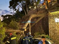 Ναύπακτος: Πεύκο έπεσε σε σταθμευμένα αυ...