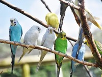 Αργεντινή: Η πόλη Χιλάριο Ασκασούμπι δέχ...