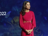 Ξένισε με ανάρμοστo cut out dress η Λετί...