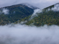 Θοδωρής Κολυδάς: Οι βροχοπτώσεις δεν είν...